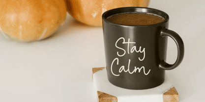 Malibu Sunset Font Poster 3