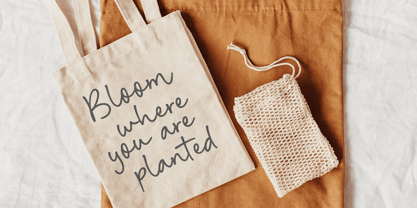 Malibu Sunset Font Poster 5