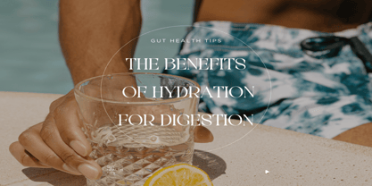 Lemaon Font Poster 6