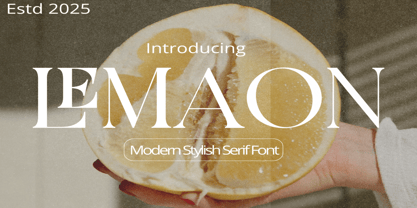 Lemaon Font Poster 1