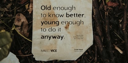 Malevice Inkbleed Font Poster 3