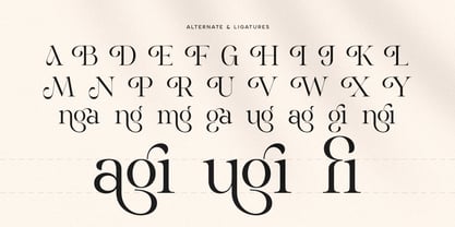 Nirage Font Poster 10