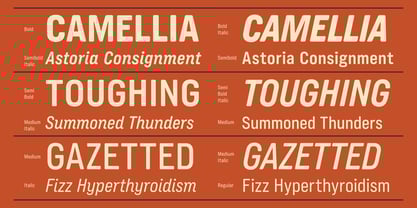 GW Rounbrew Font Poster 5