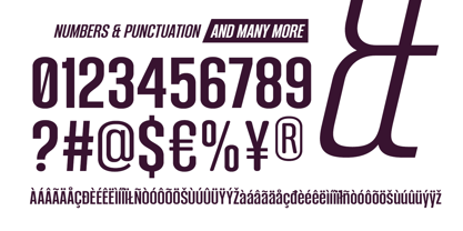 Bondia Font Poster 13