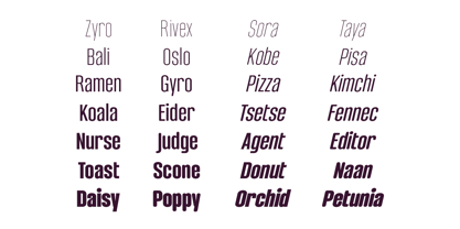 Bondia Font Poster 5
