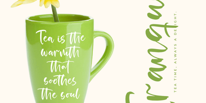 Satisfy Quirky Font Poster 2