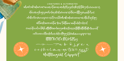 Satisfy Quirky Font Poster 15