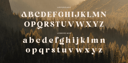Brown Orange Font Poster 10