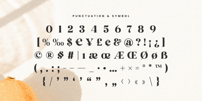 Brown Orange Font Poster 12