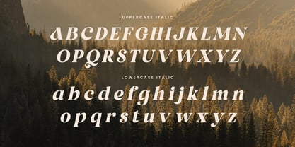 Brown Orange Font Poster 11