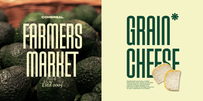 Meltings Font Poster 2