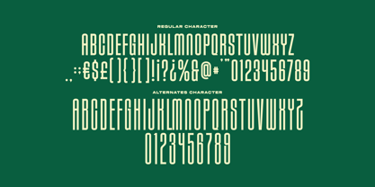 Meltings Font Poster 5