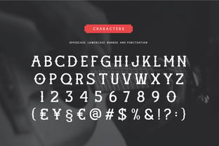 Wild Canyon Font Poster 2