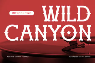 Wild Canyon Font Poster 1