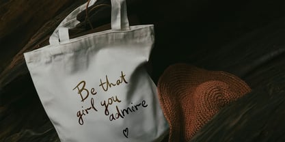 Classic Stories Font Poster 12