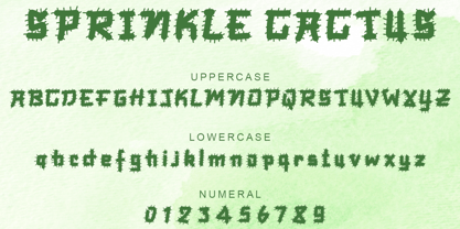 Sprinkle Cactus Font Poster 5