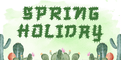 Sprinkle Cactus Font Poster 4