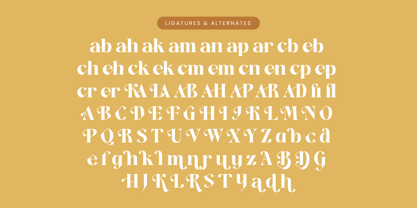 Kavare Font Poster 14