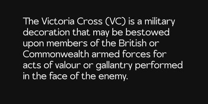 Rapvyh Variable Font Poster 9