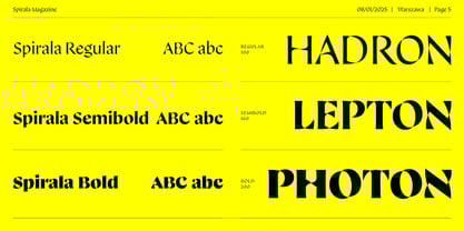 Spirala Display Font Poster 5