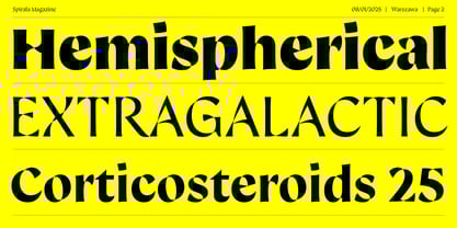 Spirala Display Font Poster 2