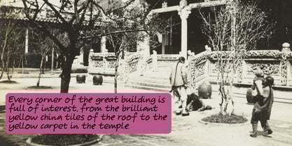 Canton Social Club Font Poster 5