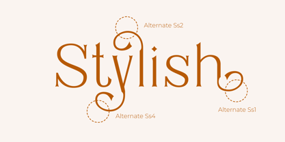 Rustin Font Poster 5