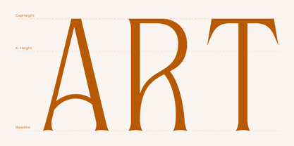 Rustin Font Poster 3