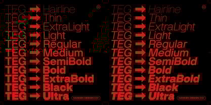 TEG Font Poster 2