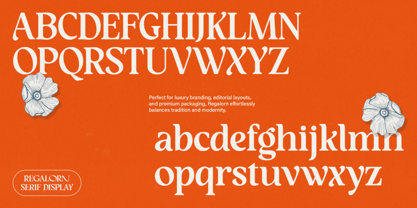Regalorn Font Poster 13