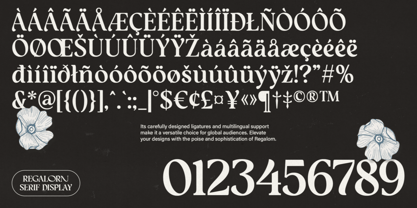 Regalorn Font Poster 14
