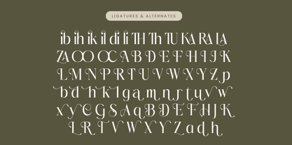 Mezaira Font Poster 14