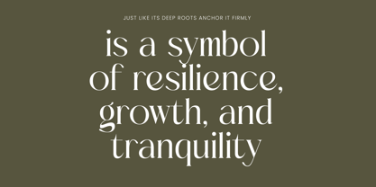 Mezaira Font Poster 6