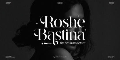 Vistera Font Poster 2