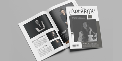 Vistera Font Poster 7