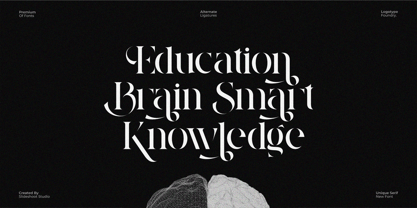 Vistera Font Poster 4