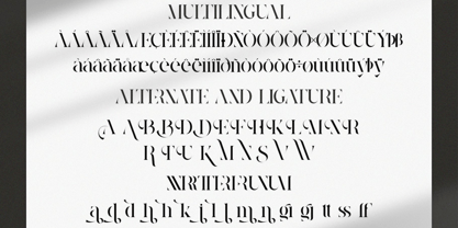 Vistera Font Poster 10
