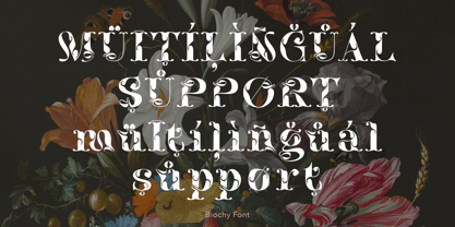 Biochy Font Poster 10