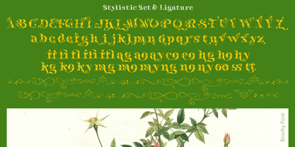 Biochy Font Poster 9