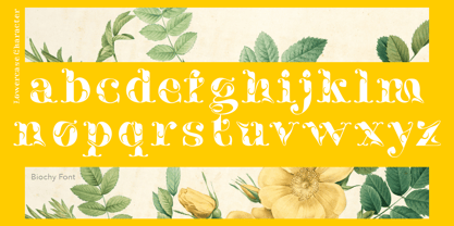 Biochy Font Poster 5
