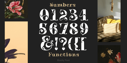 Biochy Font Poster 7