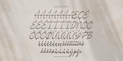 La gratesa Font Poster 11