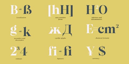 Almero Font Poster 9