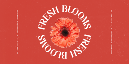 Beyond Wandler Font Poster 13