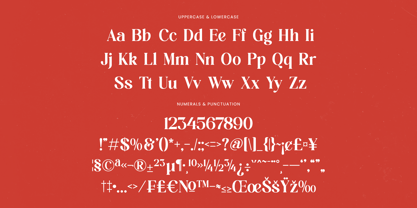 Beyond Wandler Font Poster 14