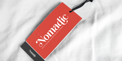 Beyond Wandler Font Poster 4