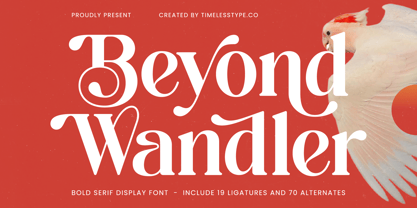 Beyond Wandler Font Poster 1