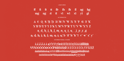 Beyond Wandler Font Poster 15