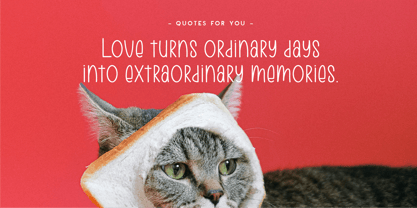 CF Meliora Vynno Font Poster 3