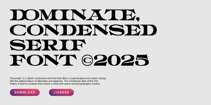 Dominate Font Poster 7